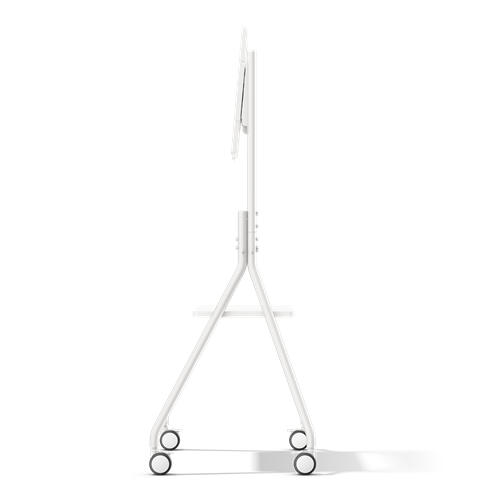 MT01R (1)